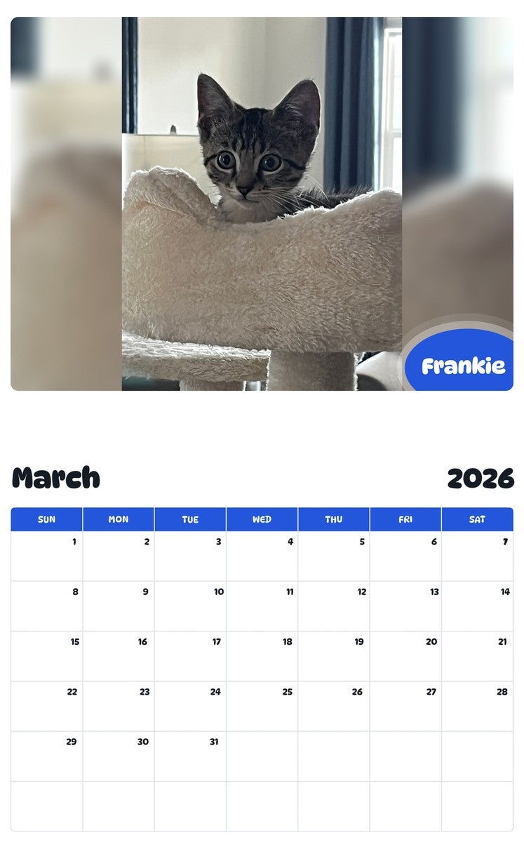 November 2025 - October 2026 Frankie - Pawidols Pet Calendar