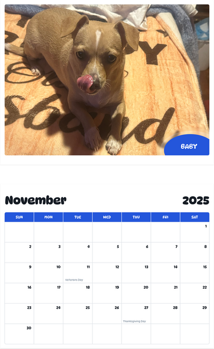 July 2025 - June 2026 Baby - Pawidols Pet Calendar
