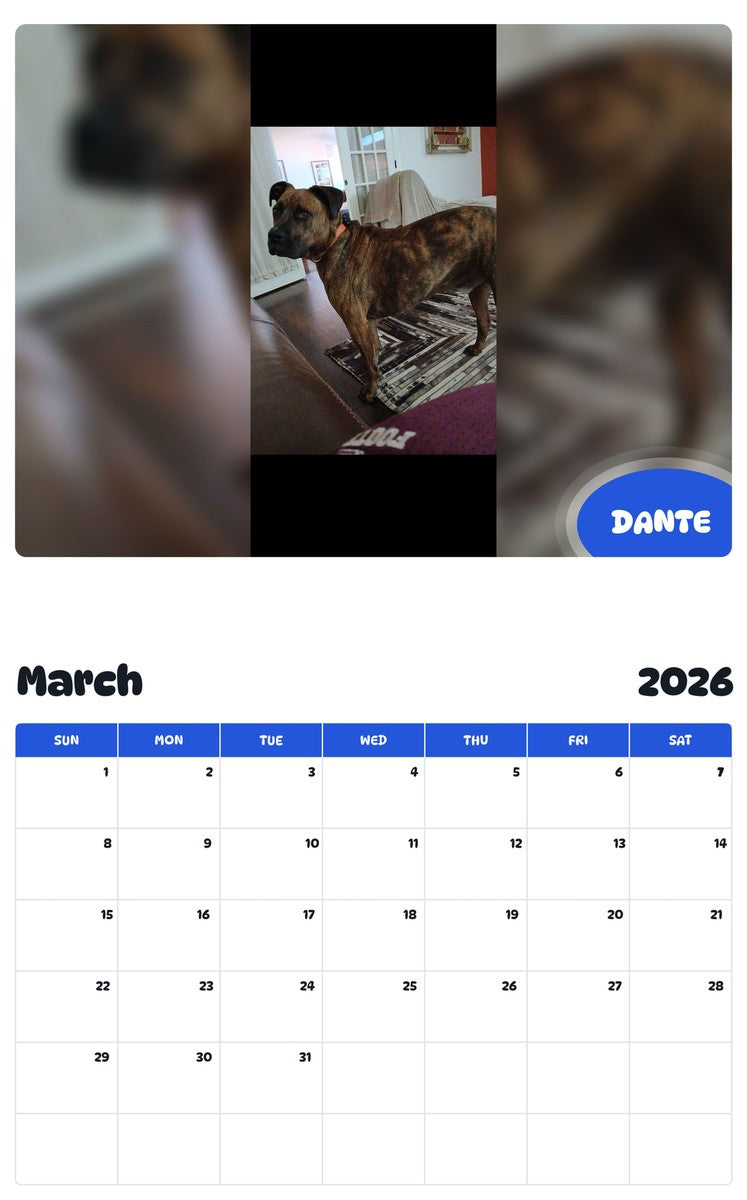 November 2025 - October 2026 DANTE - Pawidols Pet Calendar