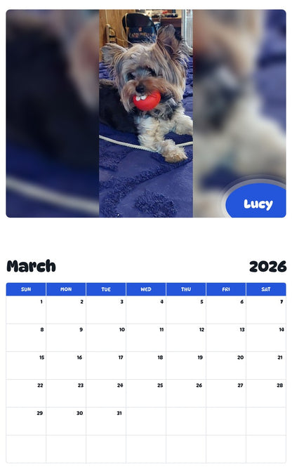 November 2025 - October 2026 Lucy - Pawidols Pet Calendar