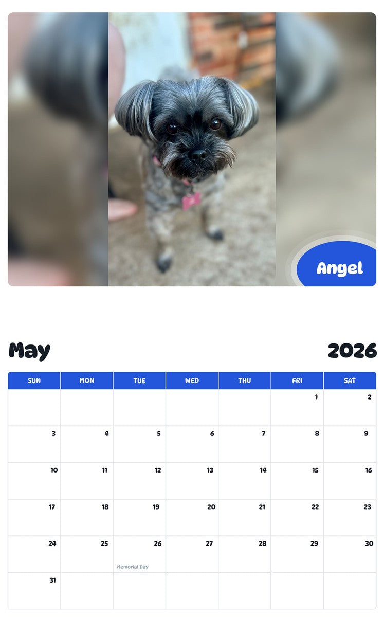 2026 - 2027 Angel - Pawidols Pet Calendar