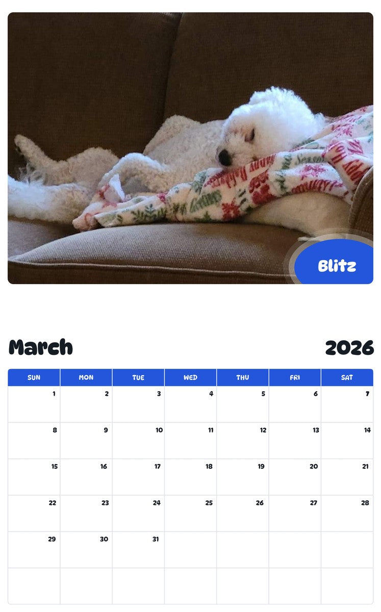 November 2025 - October 2026 Blitz - Pawidols Pet Calendar