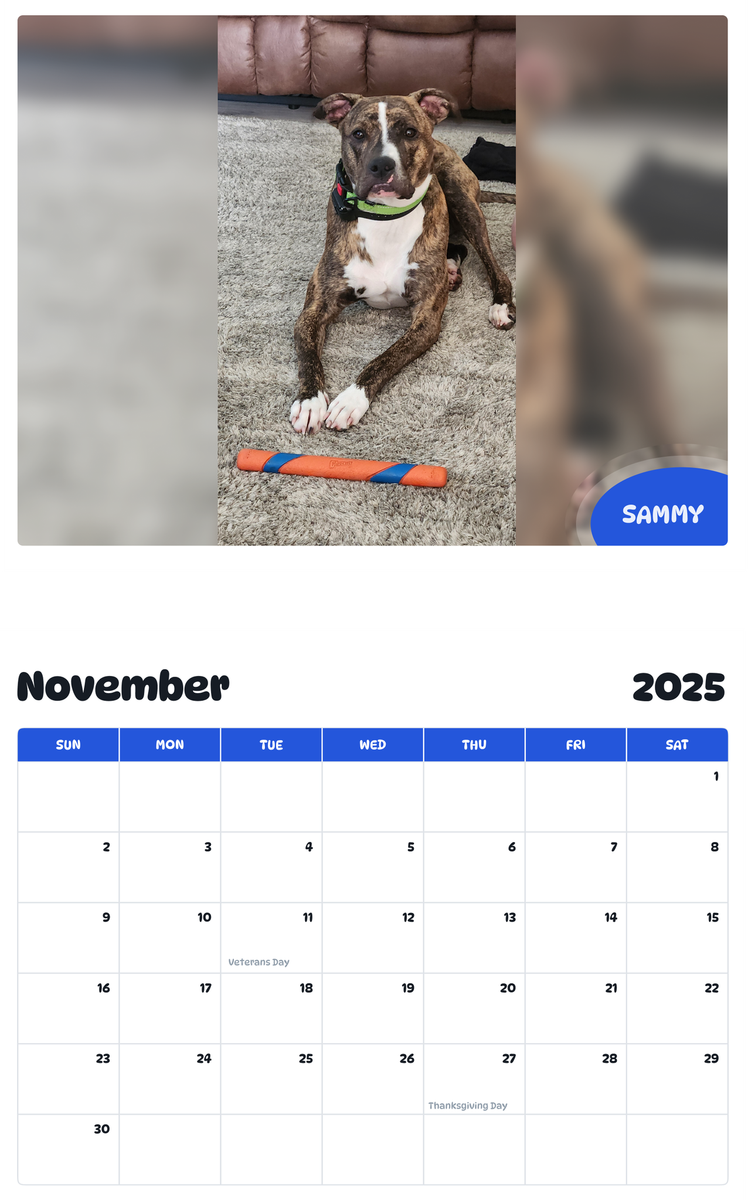 July 2025 - June 2026 Sammy - Pawidols Pet Calendar