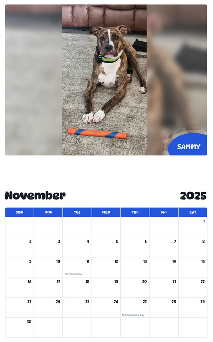 July 2025 - June 2026 Sammy - Pawidols Pet Calendar