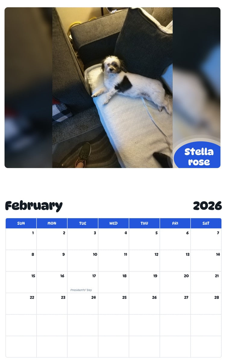 November 2025 - October 2026 Stella rose - Pawidols Pet Calendar