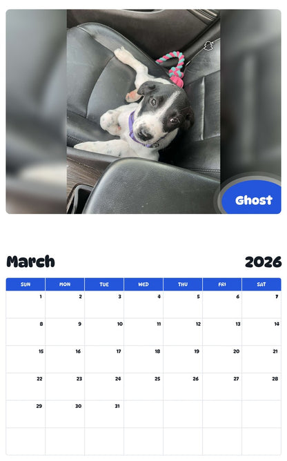 November 2025 - October 2026 Ghost - Pawidols Pet Calendar