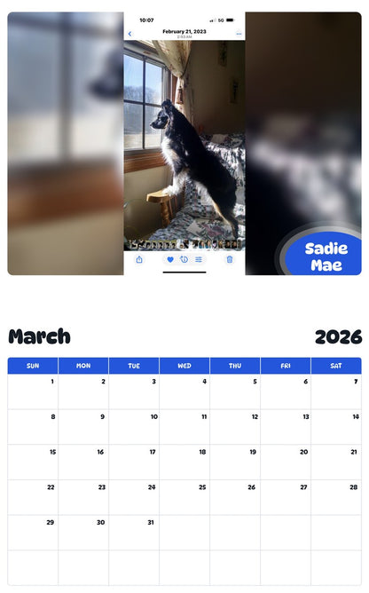 November 2025 - October 2026 Sadie Mae - Pawidols Pet Calendar