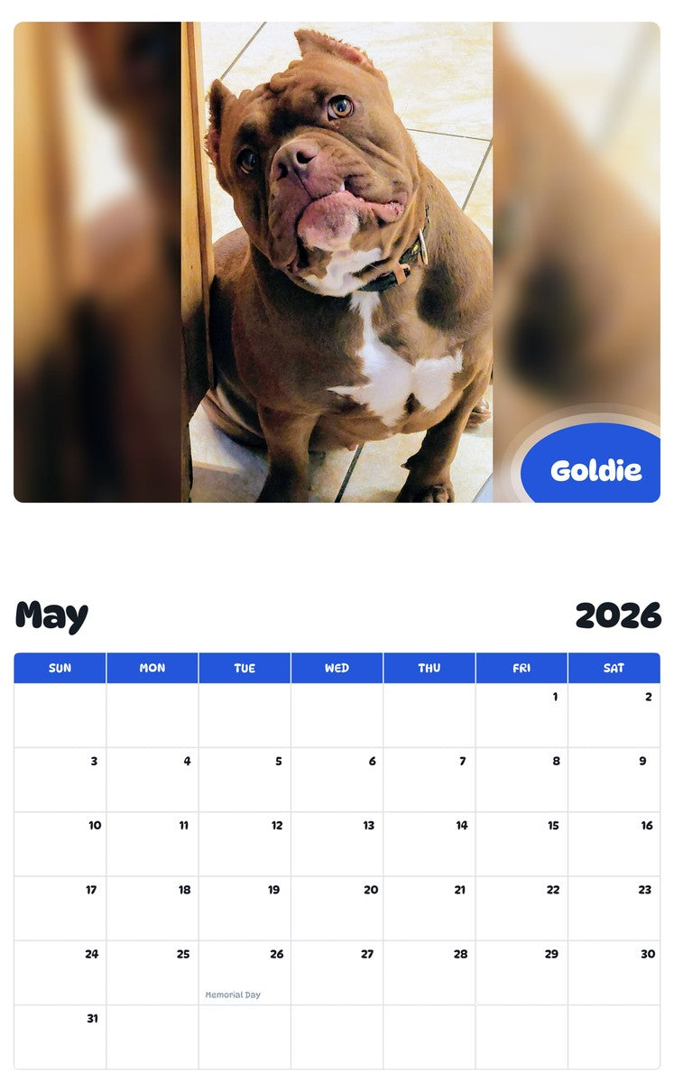 2026 - 2027 Goldie - Pawidols Pet Calendar