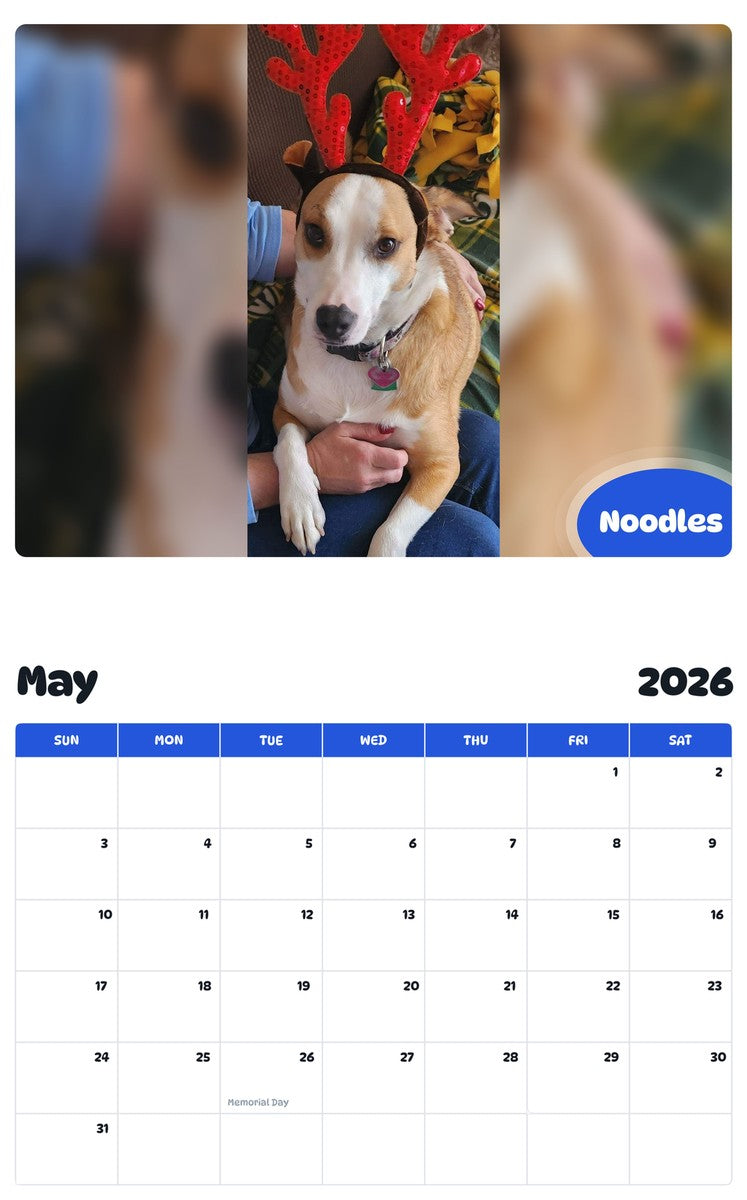 2026 - 2027 Noodles - Pawidols Pet Calendar