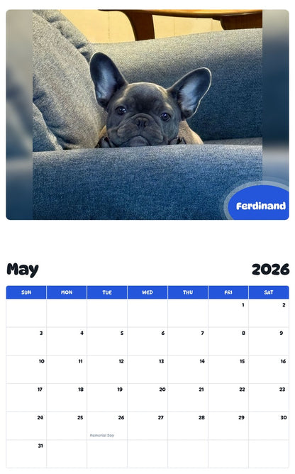 2026 - 2027 Ferdinand - Pawidols Pet Calendar