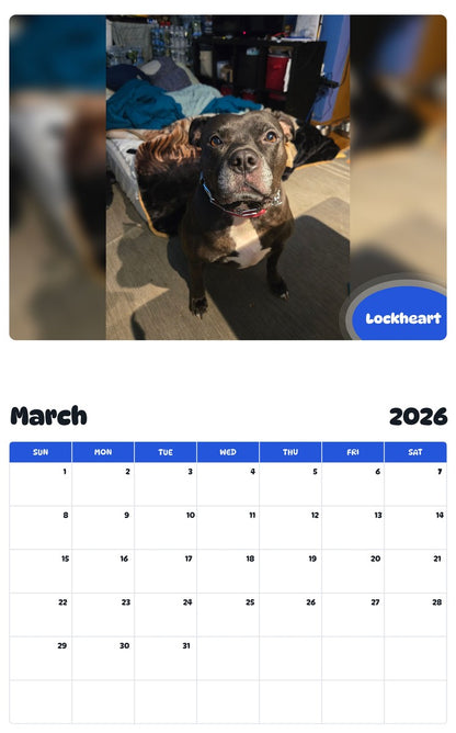 November 2025 - October 2026 Lockheart - Pawidols Pet Calendar