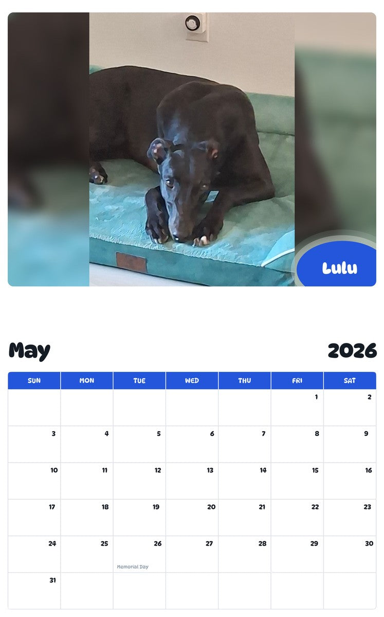2026 - 2027 Lulu - Pawidols Pet Calendar
