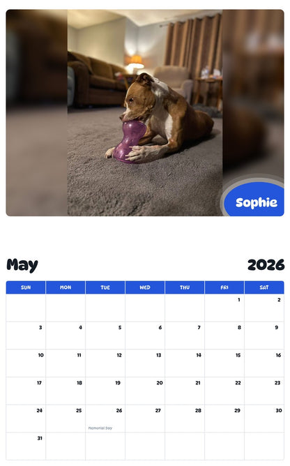 2026 - 2027 Sophie - Pawidols Pet Calendar