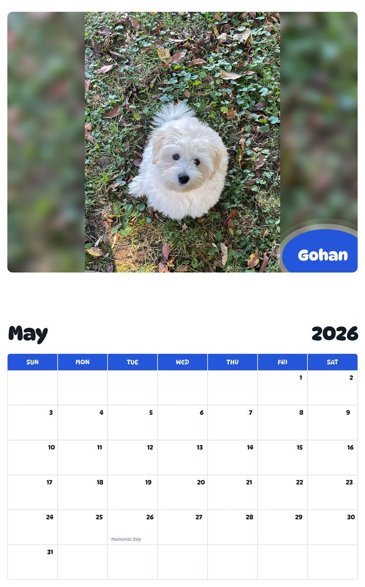 2026 - 2027 Gohan - Pawidols Pet Calendar