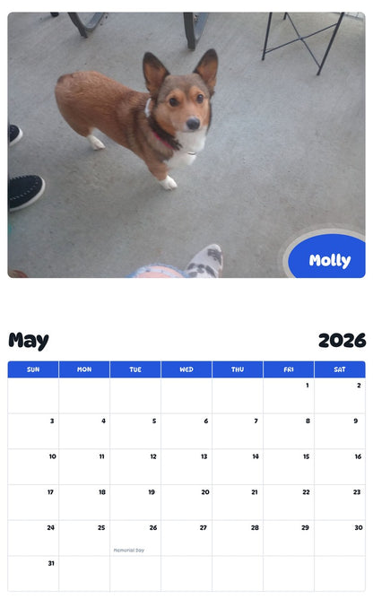 2026 - 2027 Molly - Pawidols Pet Calendar