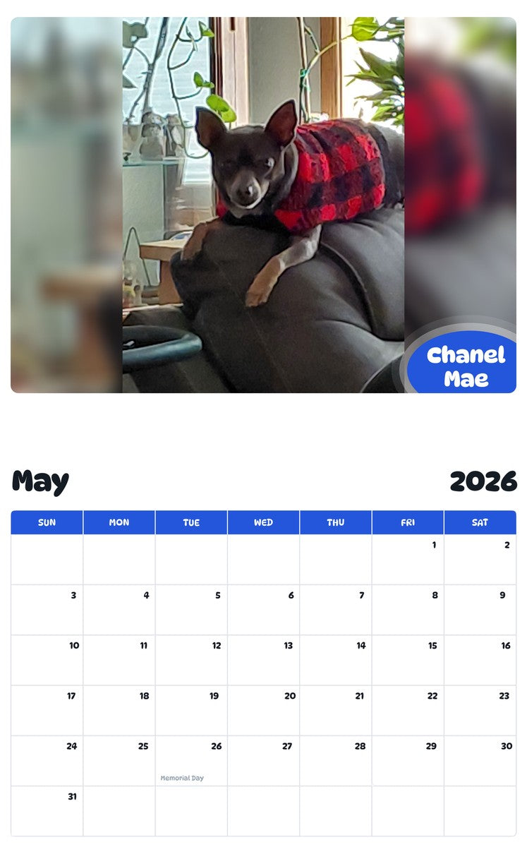 2026 - 2027 Chanel Mae - Pawidols Pet Calendar