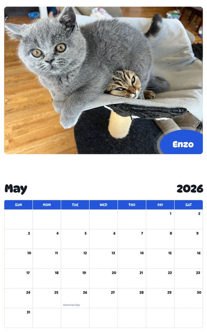 2026 - 2027 Enzo - Pawidols Pet Calendar