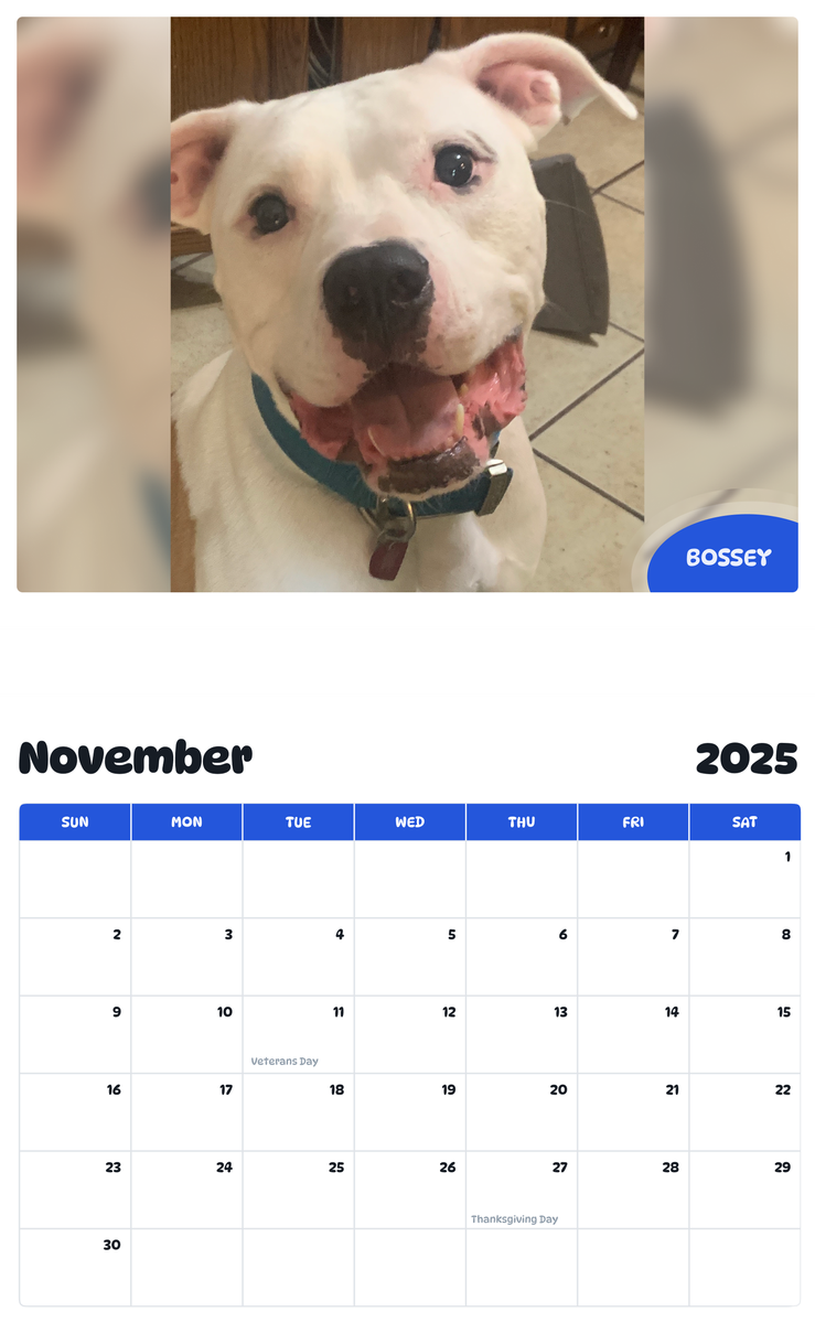 July 2025 - June 2026 Bossey - Pawidols Pet Calendar