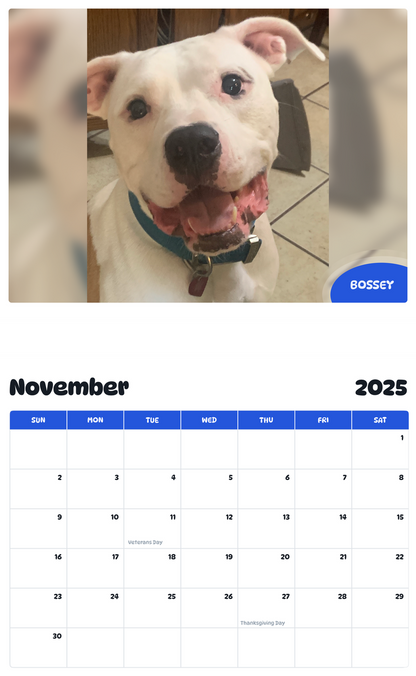 July 2025 - June 2026 Bossey - Pawidols Pet Calendar