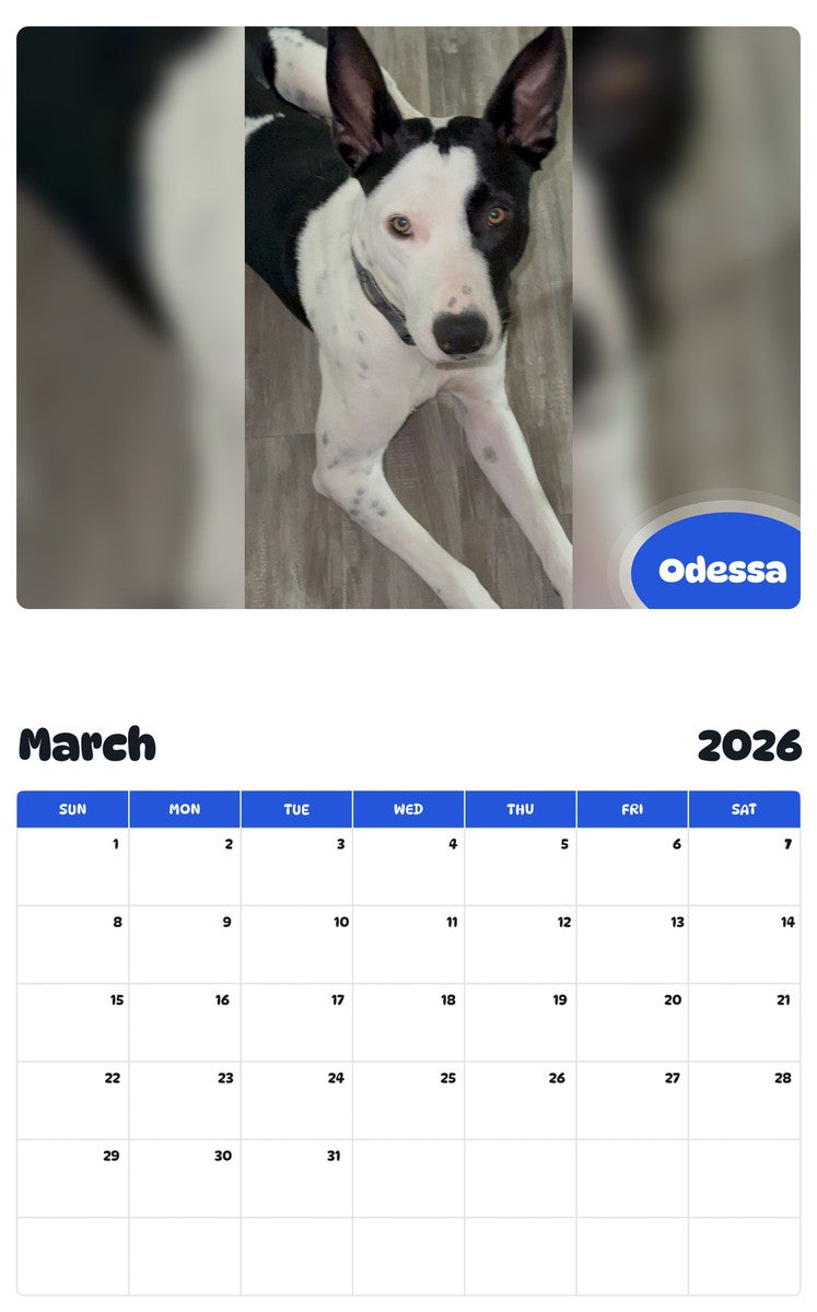 November 2025 - October 2026 Odessa - Pawidols Pet Calendar