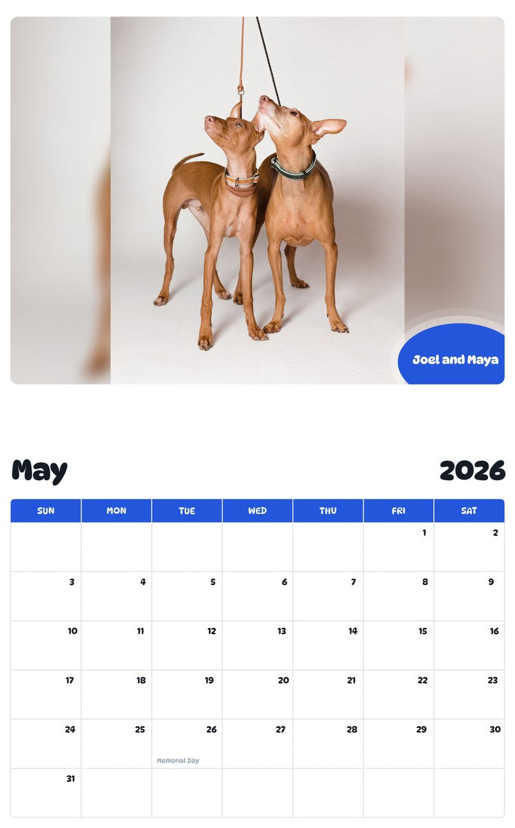 2026 - 2027 Joel and Maya - Pawidols Pet Calendar