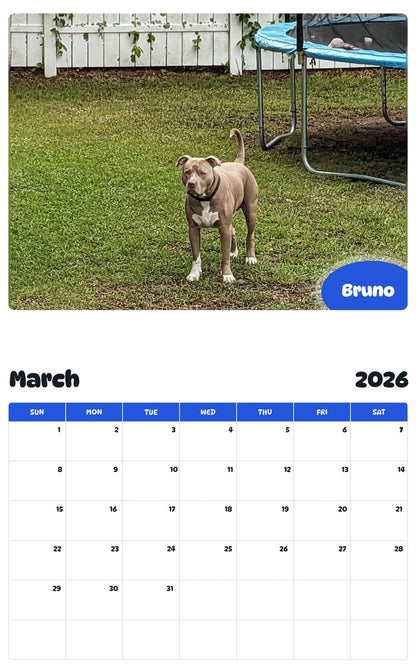 November 2025 - October 2026 Bruno - Pawidols Pet Calendar
