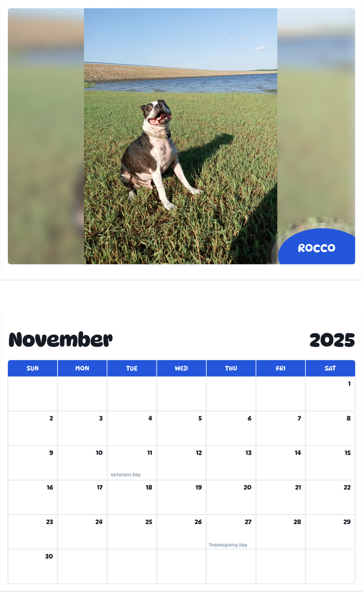 July 2025 - June 2026 Rocco - Pawidols Pet Calendar