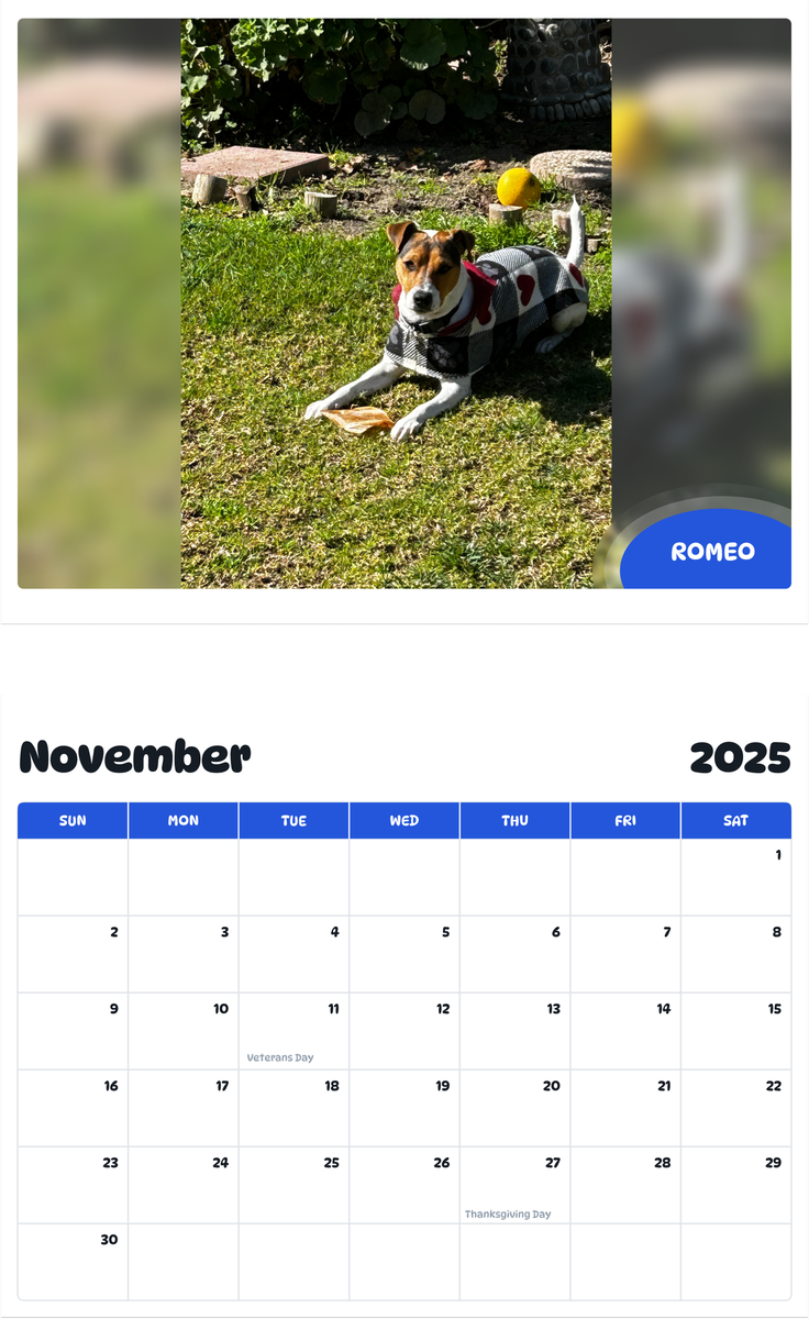 July 2025 - June 2026 Romeo - Pawidols Pet Calendar