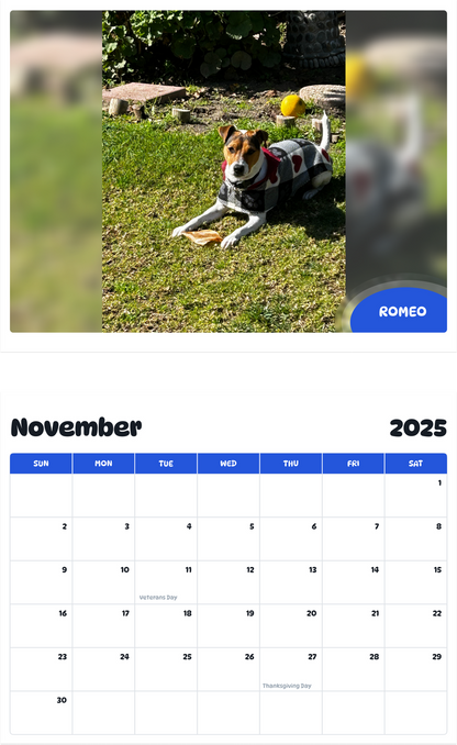 July 2025 - June 2026 Romeo - Pawidols Pet Calendar