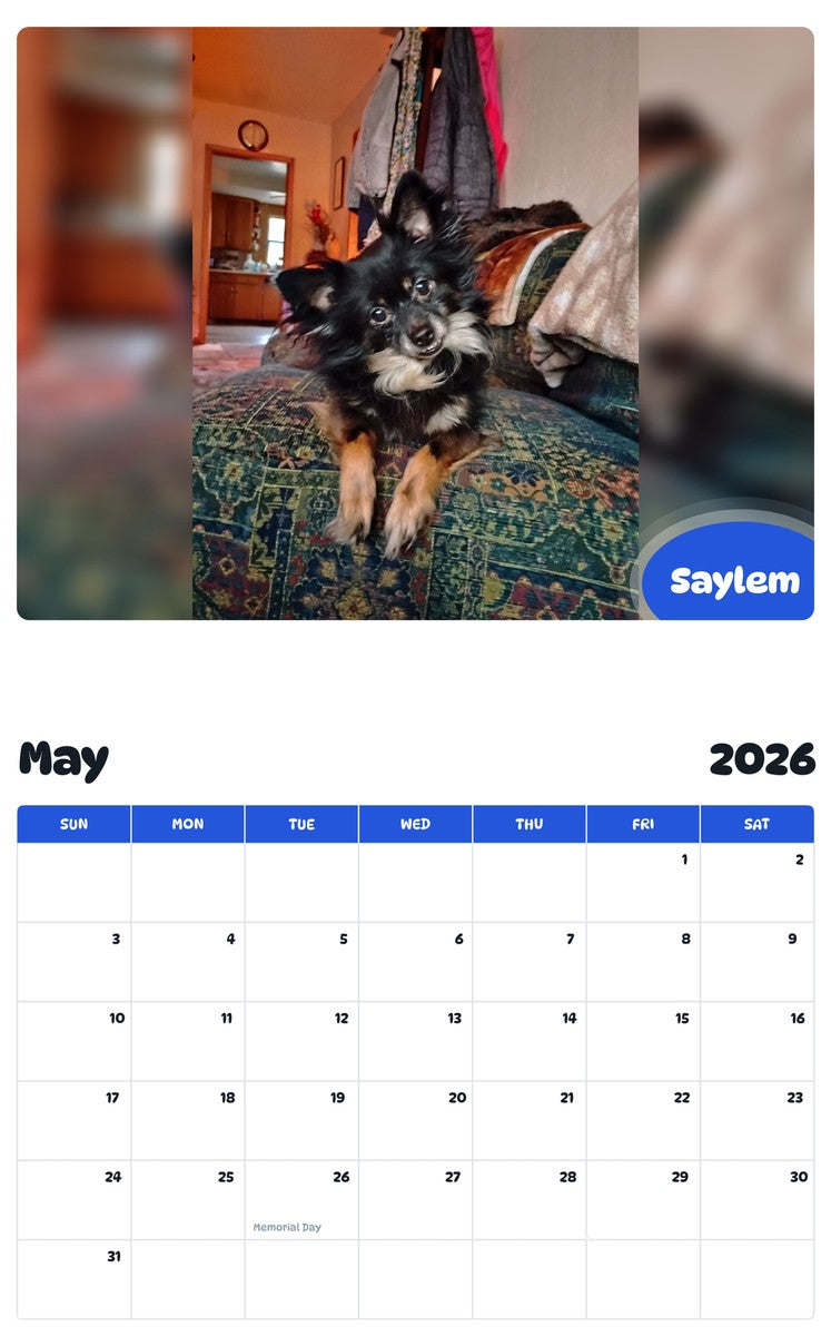 2026 - 2027 Saylem - Pawidols Pet Calendar