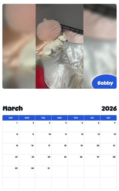 November 2025 - October 2026 Bobby - Pawidols Pet Calendar
