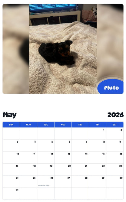 2026 - 2027 Pluto - Pawidols Pet Calendar