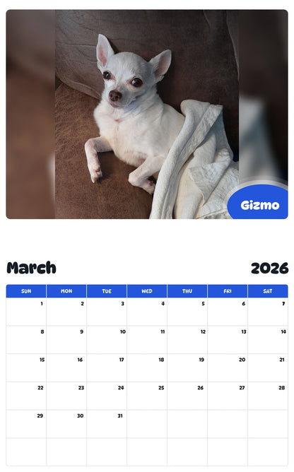 November 2025 - October 2026 Gizmo - Pawidols Pet Calendar
