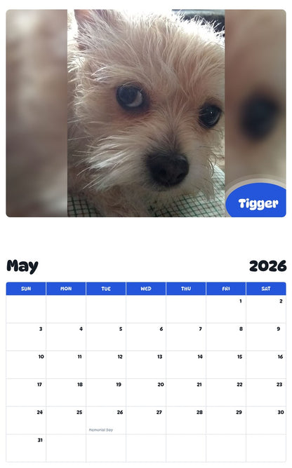 2026 - 2027 Tigger - Pawidols Pet Calendar