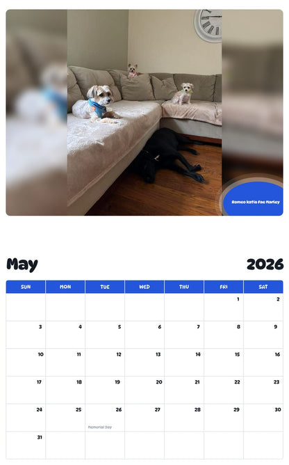 2026 - 2027 Romeo katia Fae Marley - Pawidols Pet Calendar
