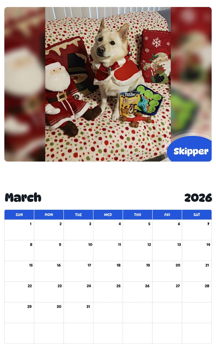 November 2025 - October 2026 Skipper - Pawidols Pet Calendar