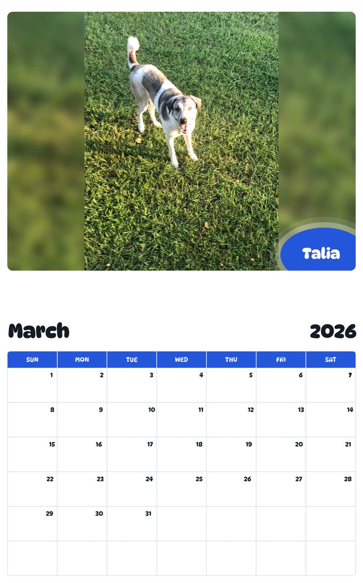November 2025 - October 2026 Talia - Pawidols Pet Calendar