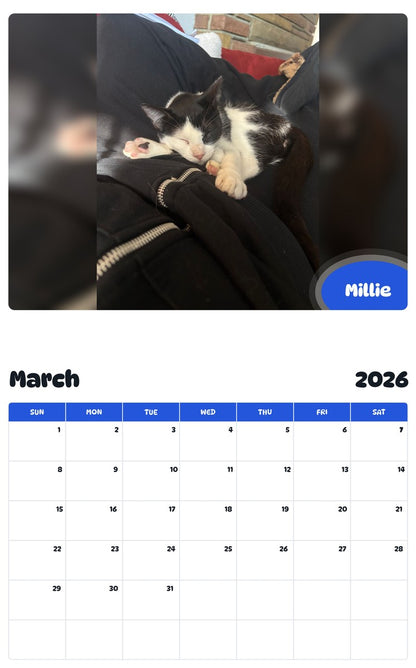 November 2025 - October 2026 Millie - Pawidols Pet Calendar