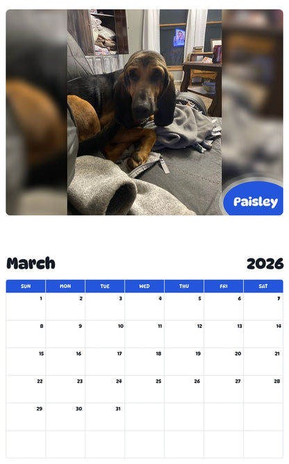 November 2025 - October 2026 Paisley - Pawidols Pet Calendar