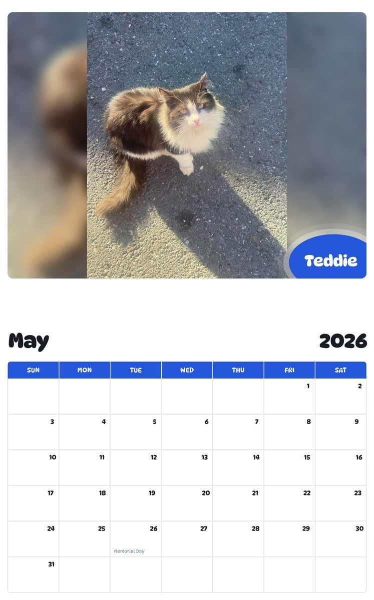 2026 - 2027 Teddie - Pawidols Pet Calendar
