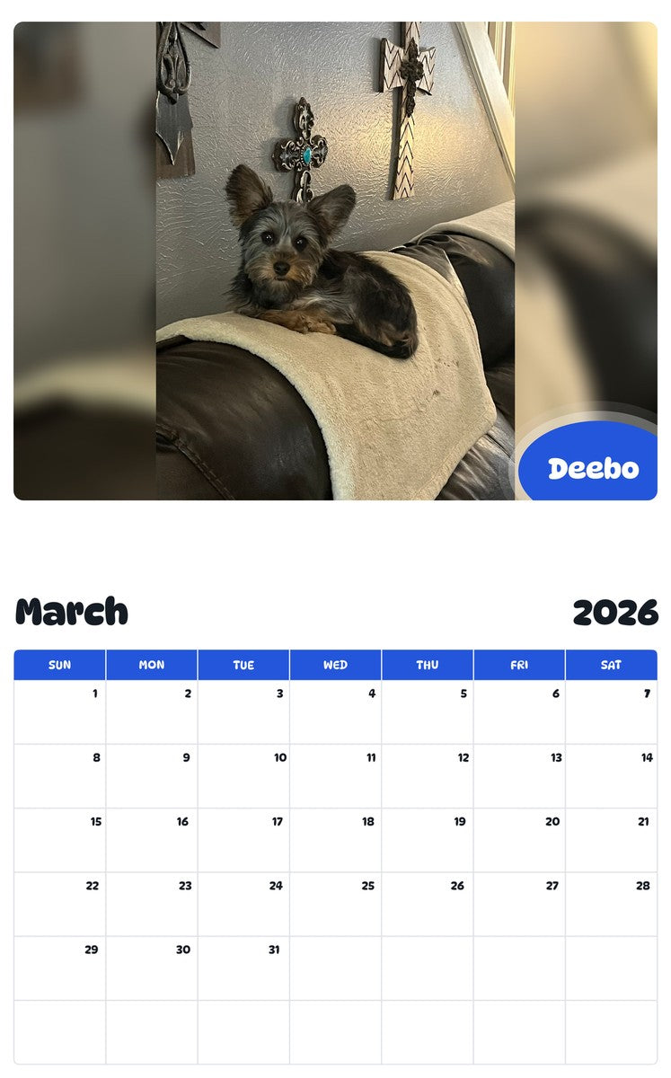 November 2025 - October 2026 Deebo - Pawidols Pet Calendar