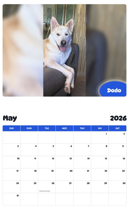 2026 - 2027 Dodo - Pawidols Pet Calendar