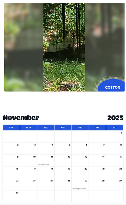 July 2025 - June 2026 Cotton - Pawidols Pet Calendar