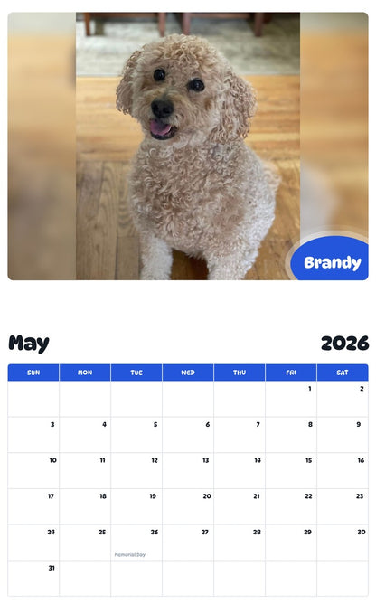 2026 - 2027 Brandy - Pawidols Pet Calendar