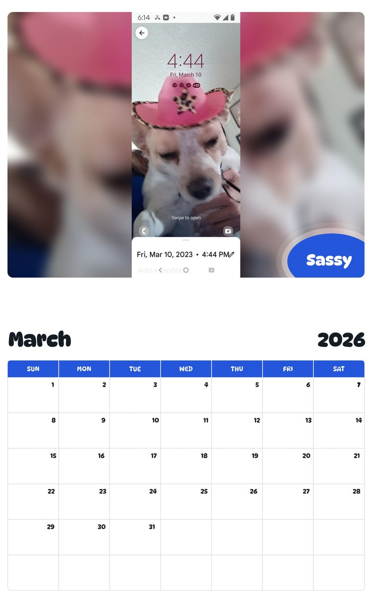 November 2025 - October 2026 Sassy - Pawidols Pet Calendar