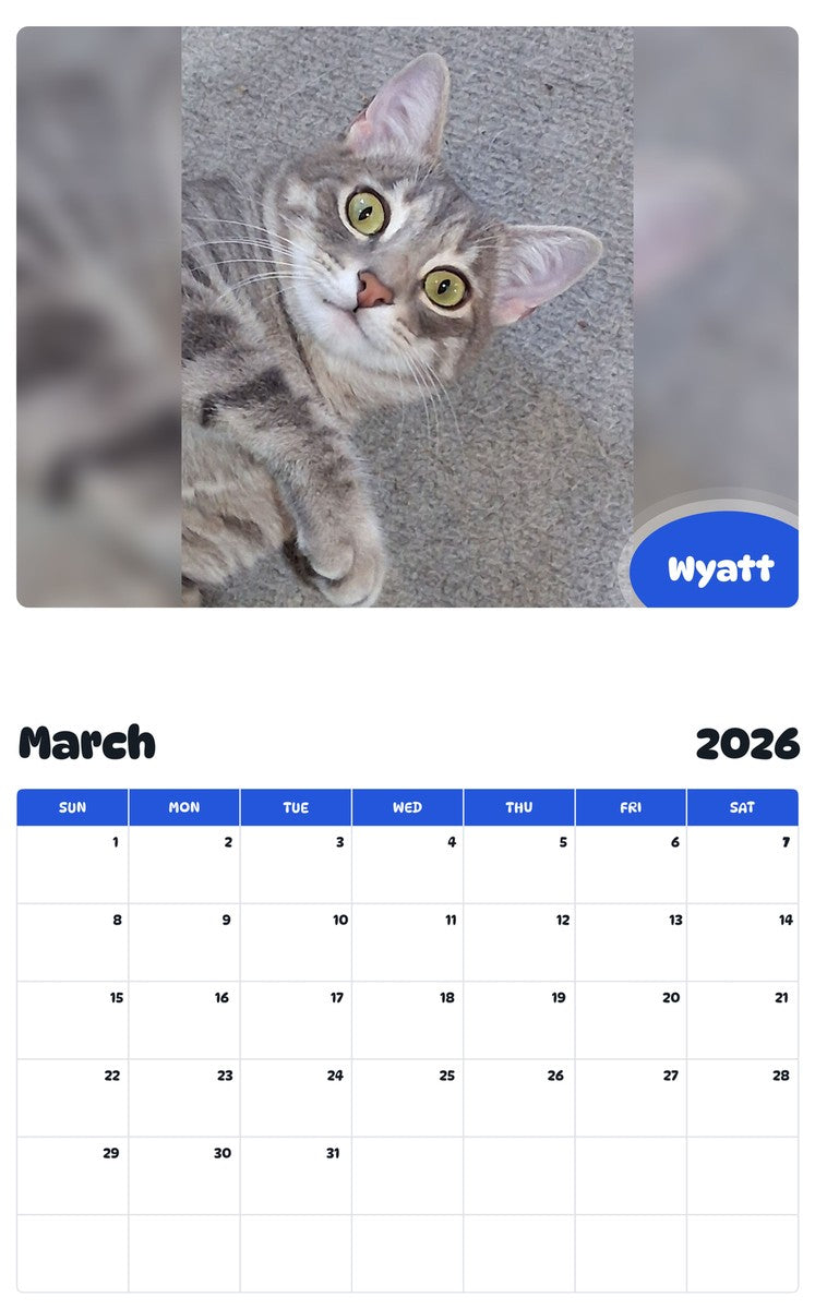 November 2025 - October 2026 Wyatt - Pawidols Pet Calendar