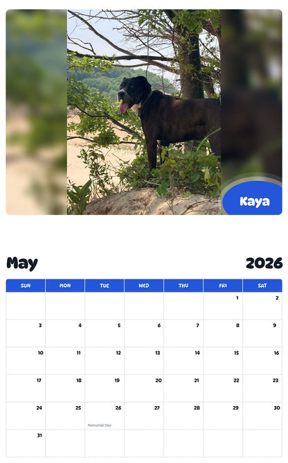 2026 - 2027 Kaya - Pawidols Pet Calendar