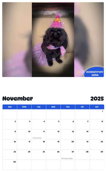 July 2025 - June 2026 KcheezyPuff Anna - Pawidols Pet Calendar