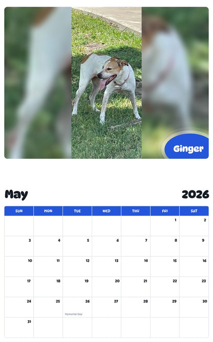 2026 - 2027 Ginger - Pawidols Pet Calendar