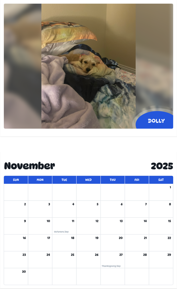 July 2025 - June 2026 Dolly - Pawidols Pet Calendar